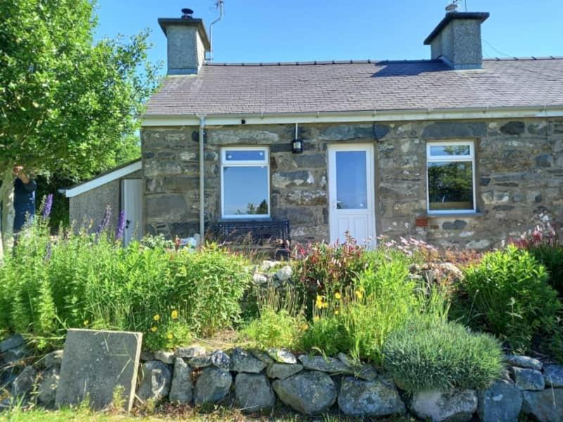 3 Tan Y Coed Brynkir Exterior foto
